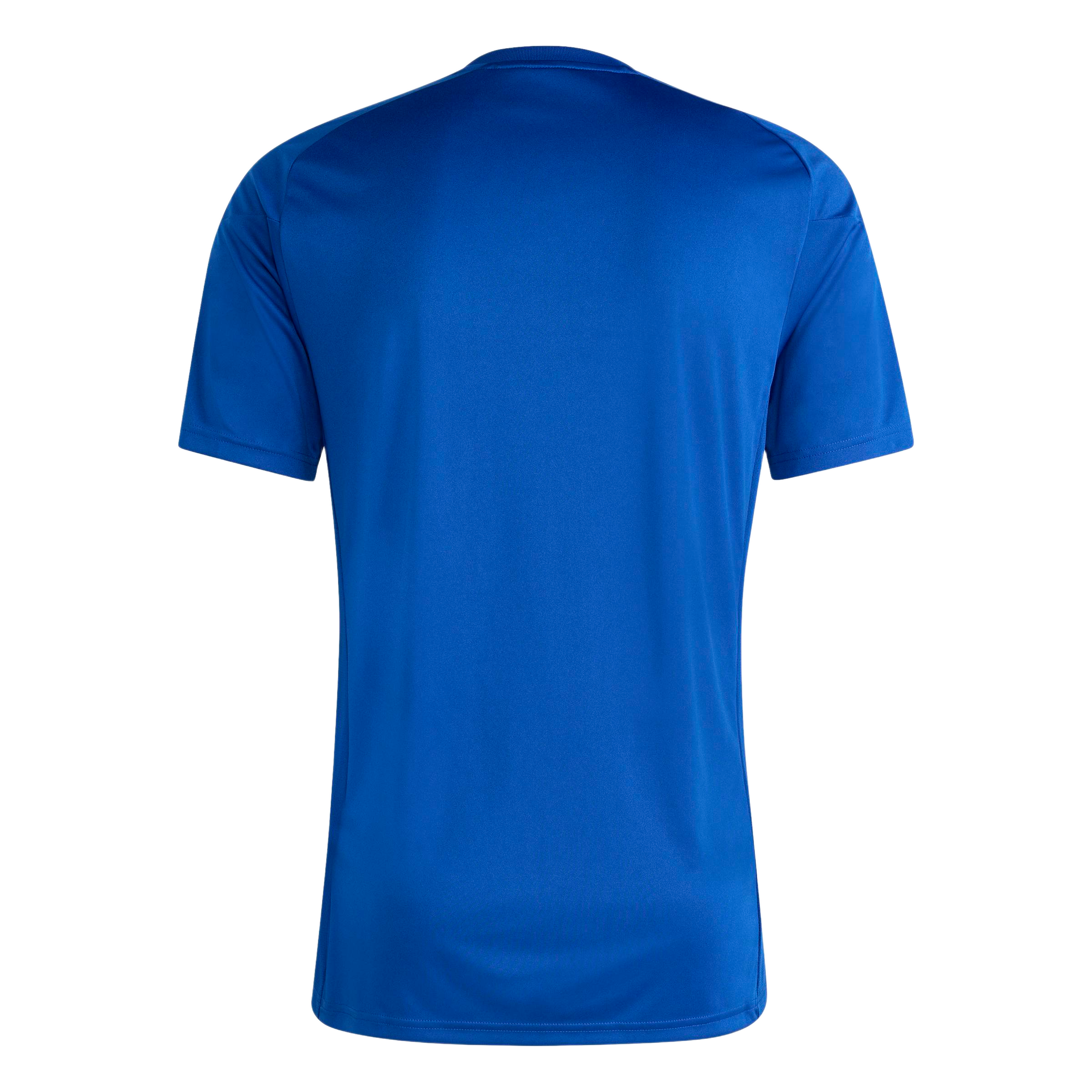 Rear view of a solid royal blue short-sleeved athletic t-shirt with a crew neck.