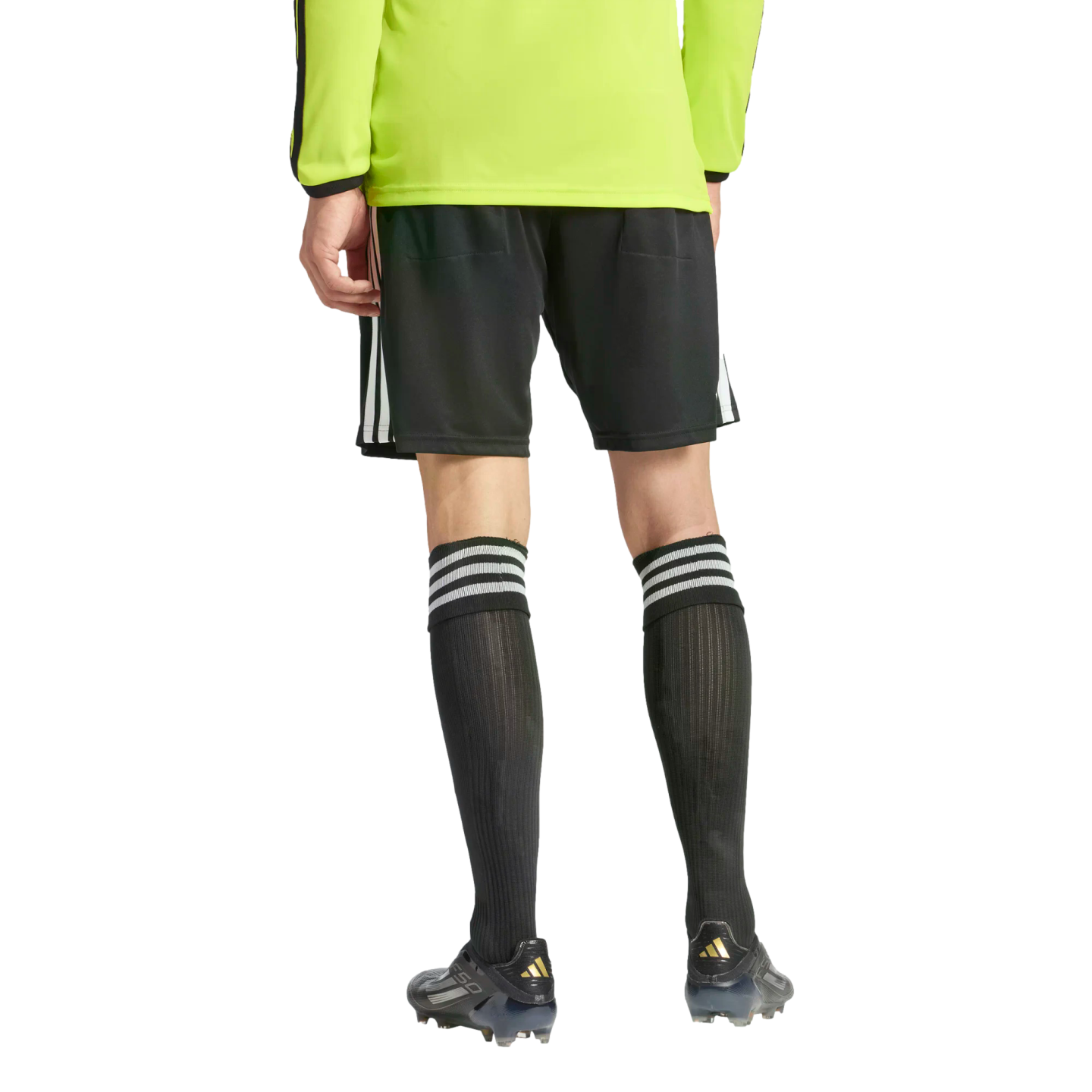 Adidas Referee 26 Shorts