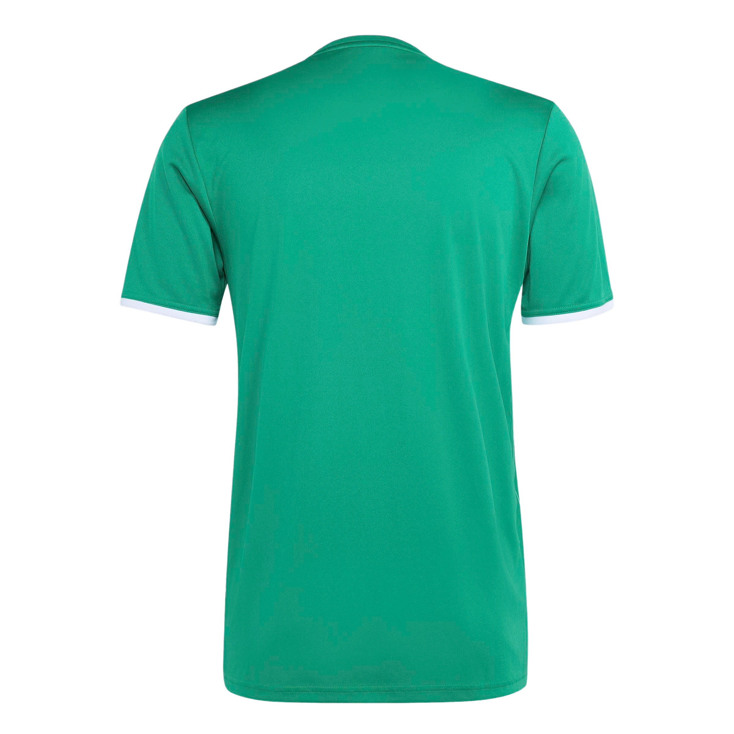 Back view of a green short-sleeved jersey featuring white trim on the sleeve cuffs and collar.