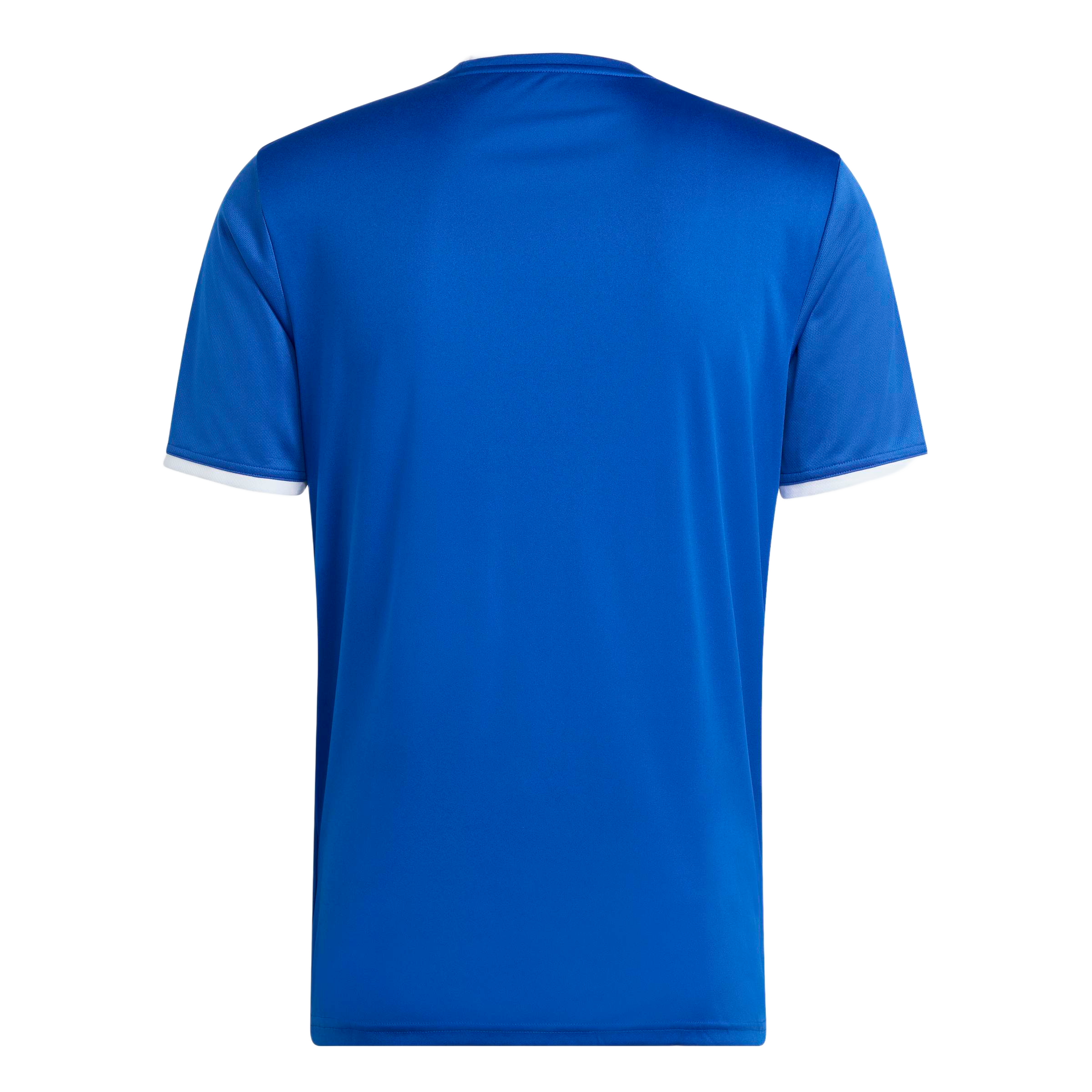 Rear view of a short-sleeved royal blue athletic jersey featuring white trim on the crew neck and sleeve cuffs.