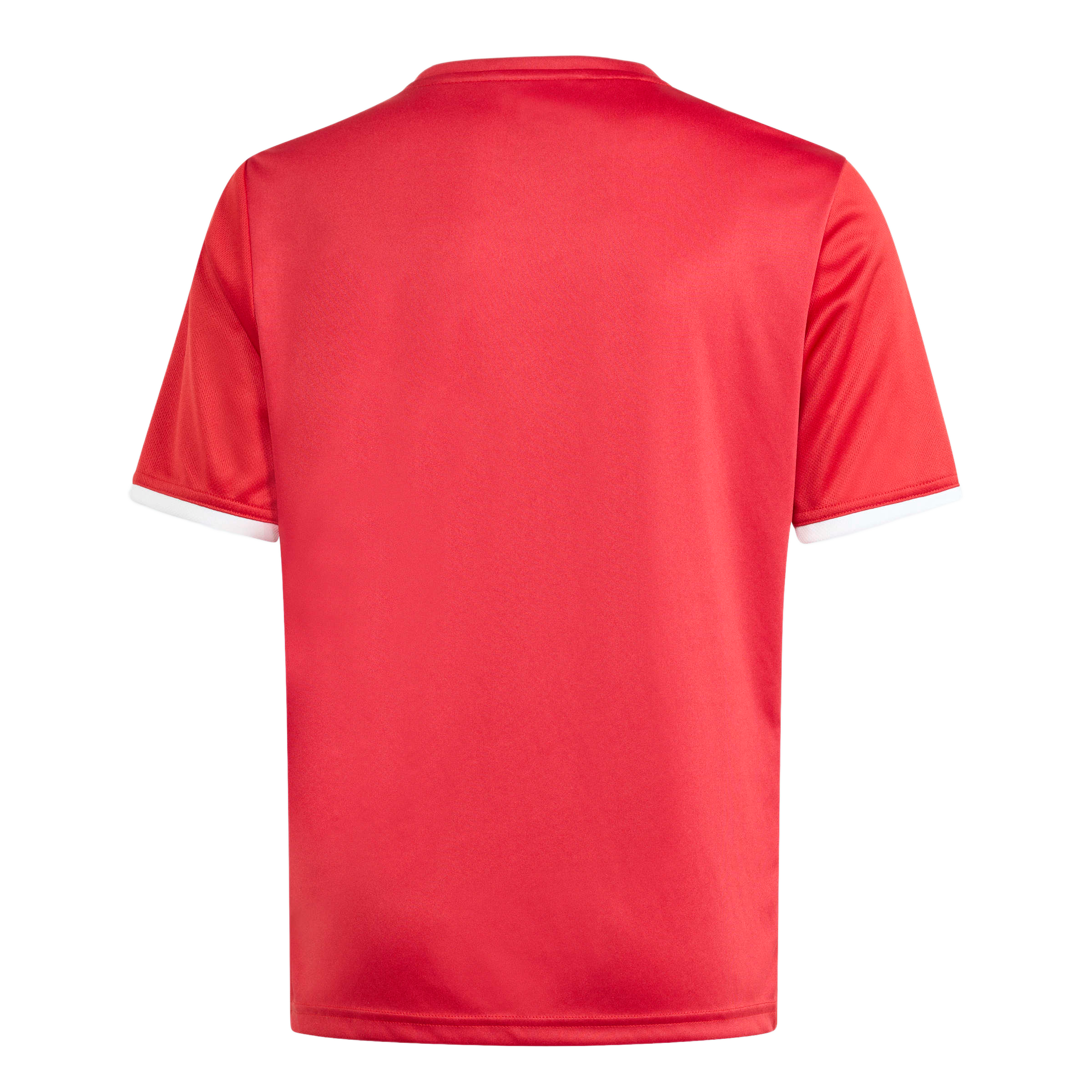 Back view of a red short-sleeved t-shirt with white trim on the crew neck and sleeve cuffs.