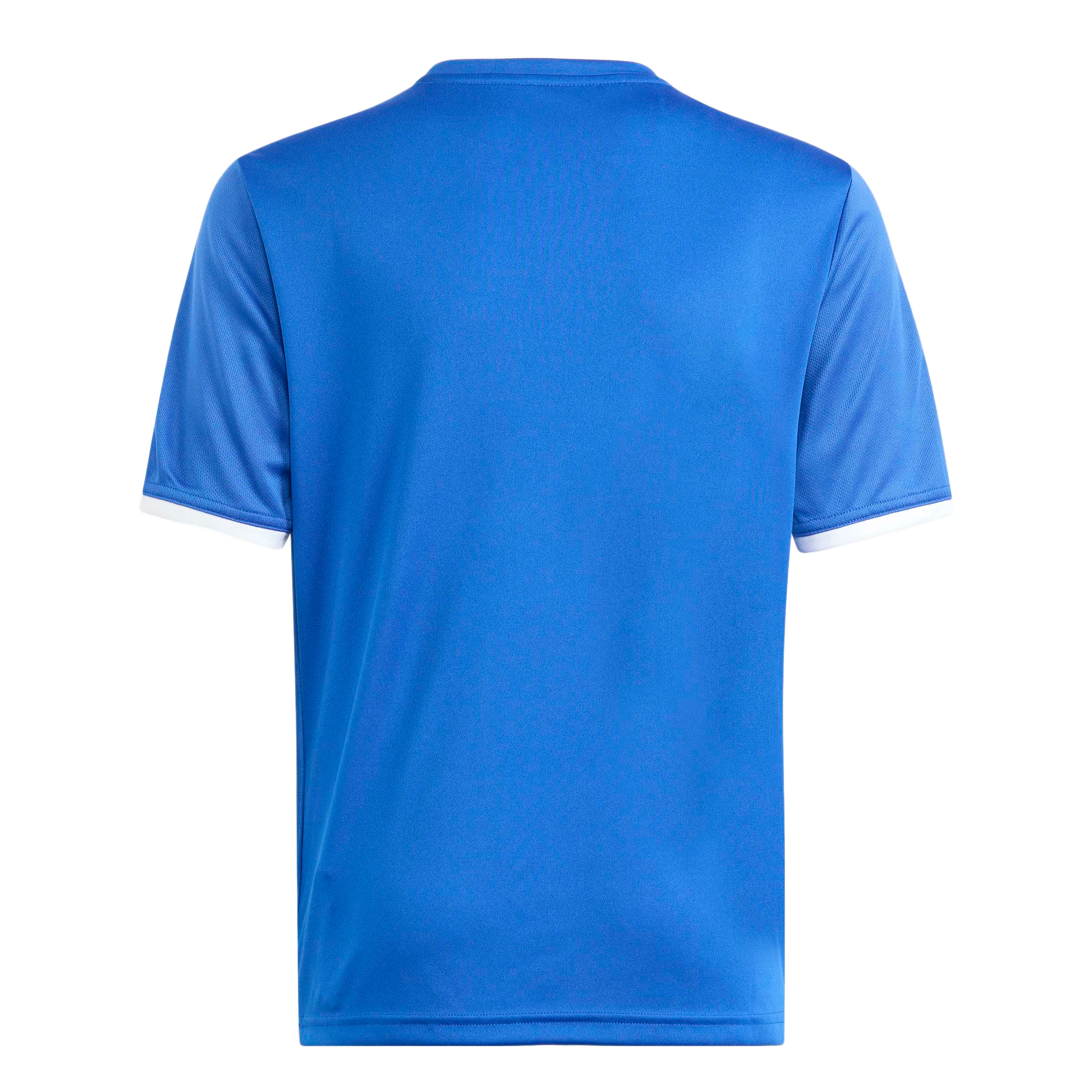 Back view of a blue short-sleeved jersey with white trim on the collar and sleeve cuffs, against a light gray background.