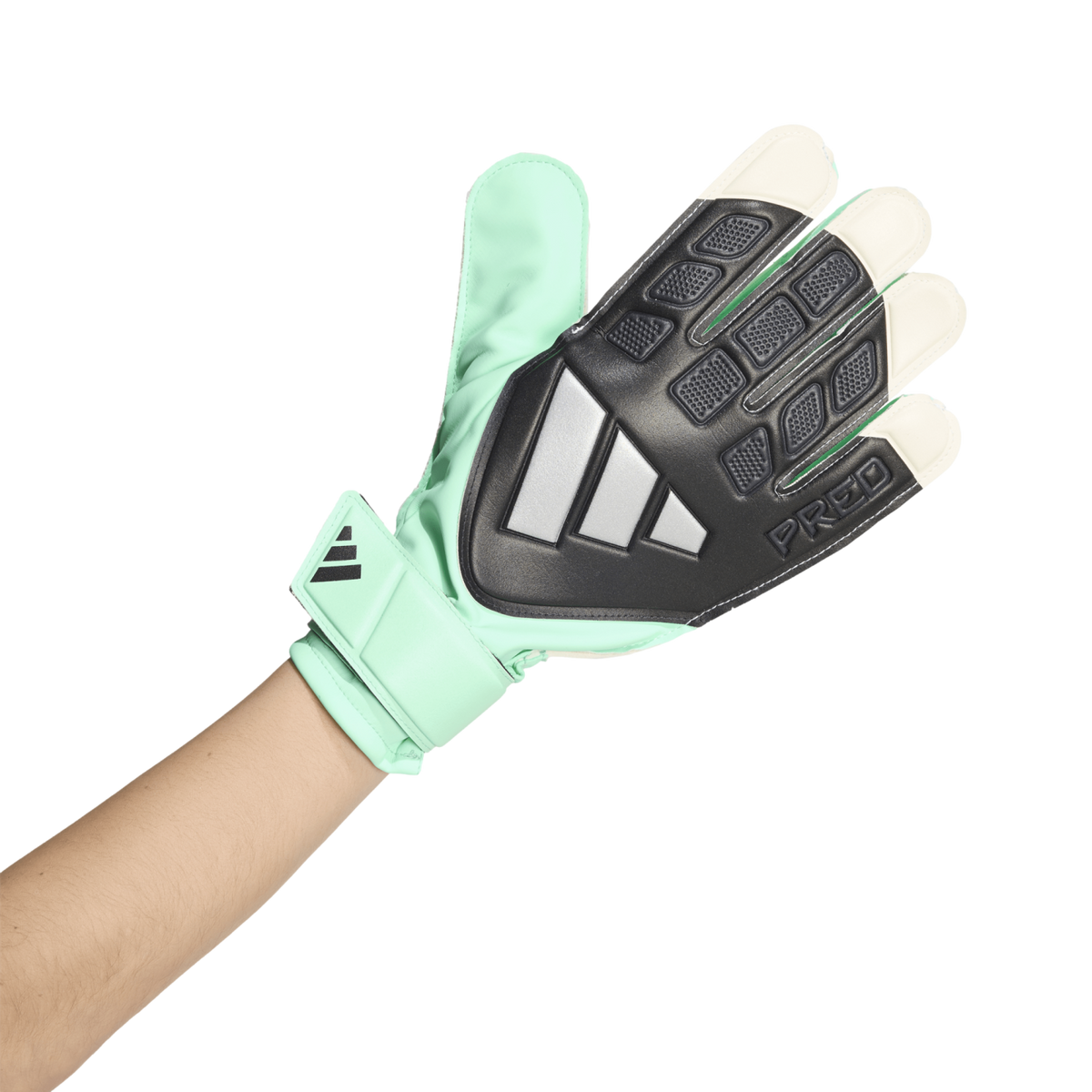 Adidas Predator Training Goalkeeper Gloves