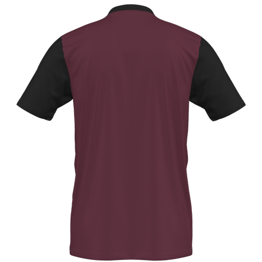 adidas Entrada 22 Custom Jersey Warminster - Maroon