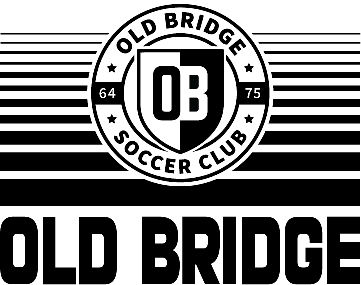 Old Bridge SW Logo - Black