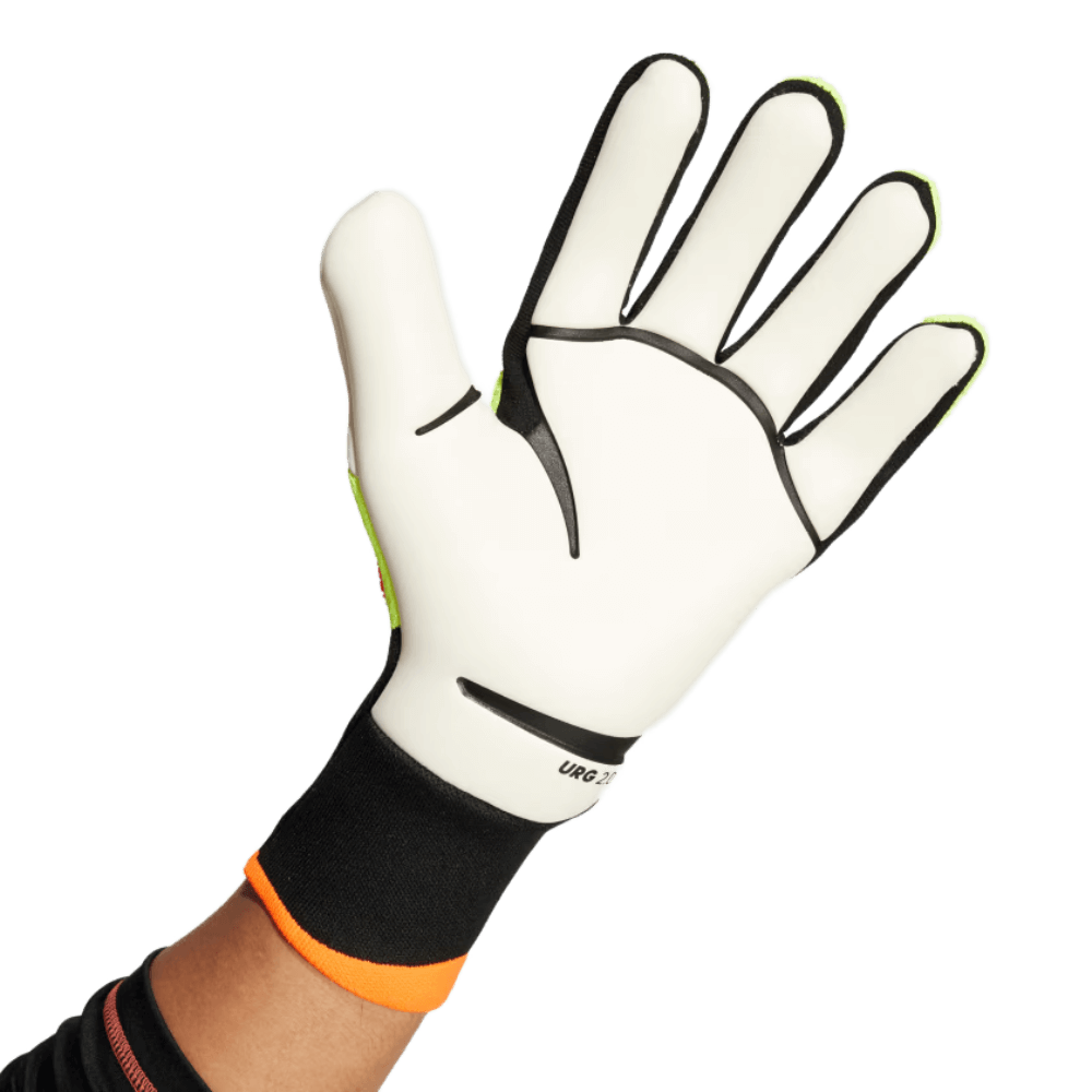 Gants de gardien de but Adidas Predator Pro