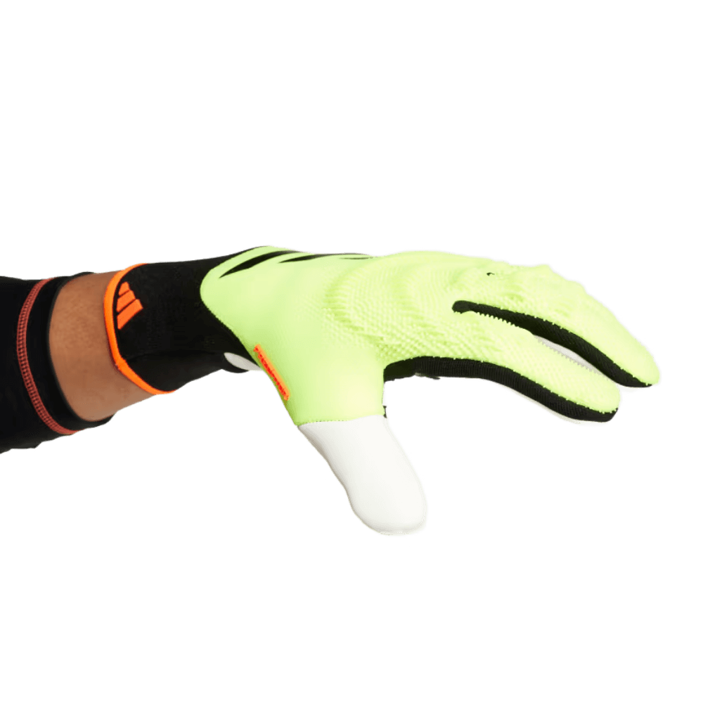 Gants de gardien de but Adidas Predator Pro