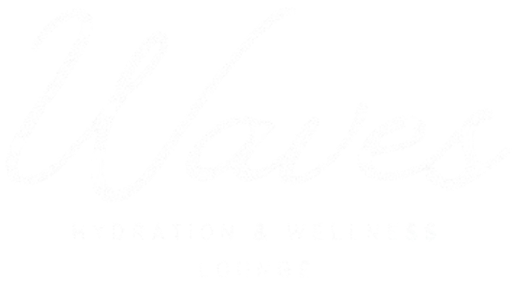 Logo for "Waves HYDRATION & WELLNESS LOUNGE". The word "Waves" is in large white script font above smaller white block lettering, all set against a black background.