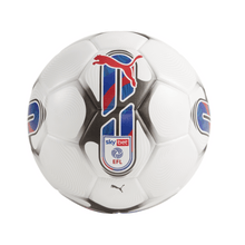 Puma Orbita 3 EFL Sky Bet FIFA Quality Ball