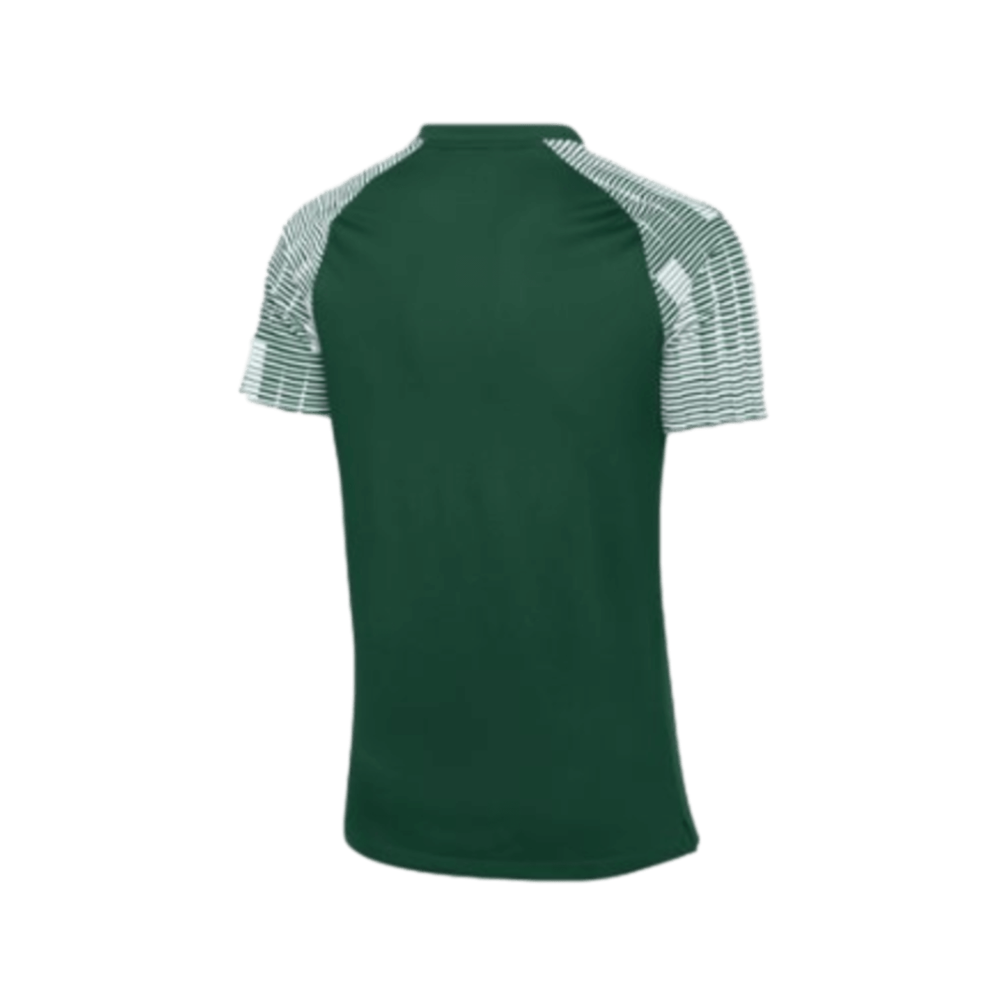 Camiseta Nike Dri FIT Academy