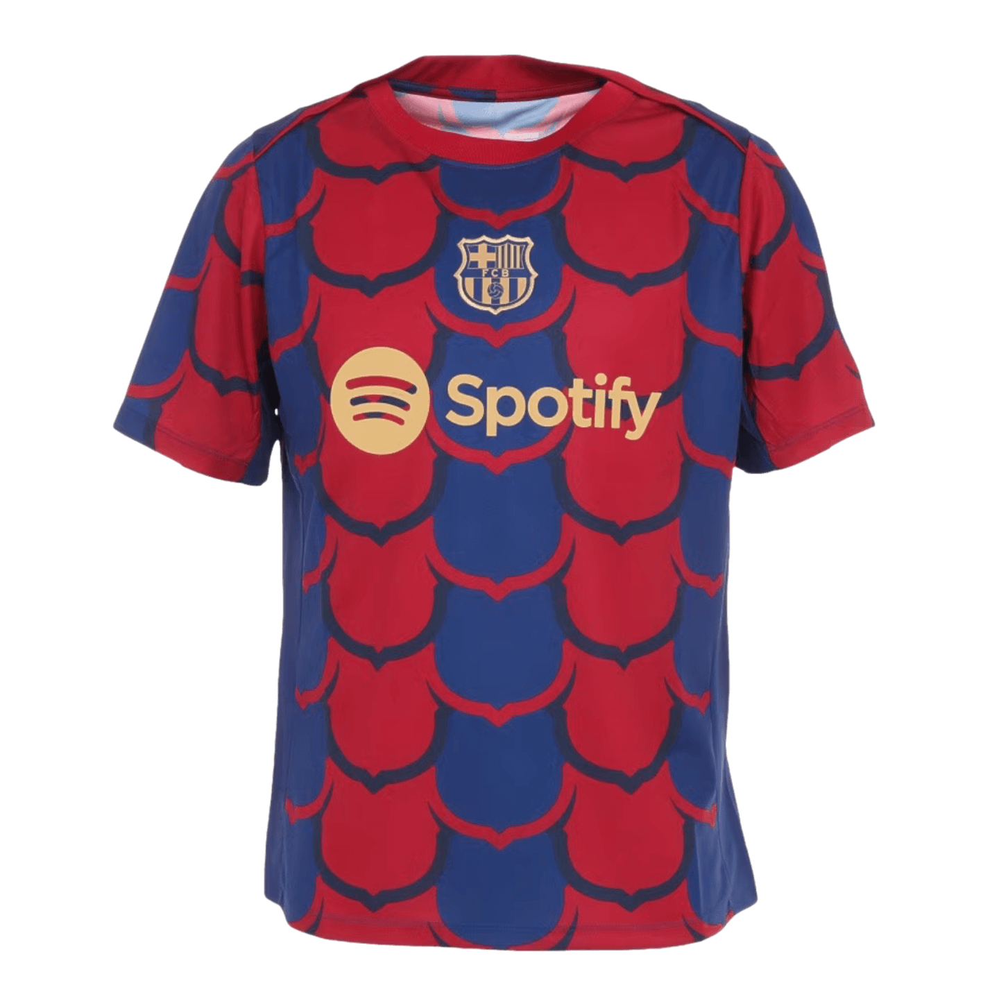 Camiseta Nike Barcelona Academy pre-partido