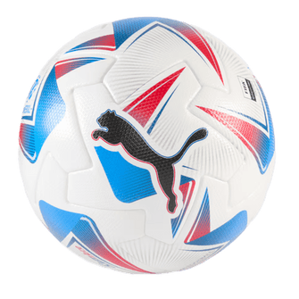 Puma Cumbre CONMEBOL Copa America FIFA Match Ball