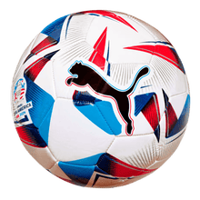 Puma Cumbre CONMEBOL Copa America Training Ball