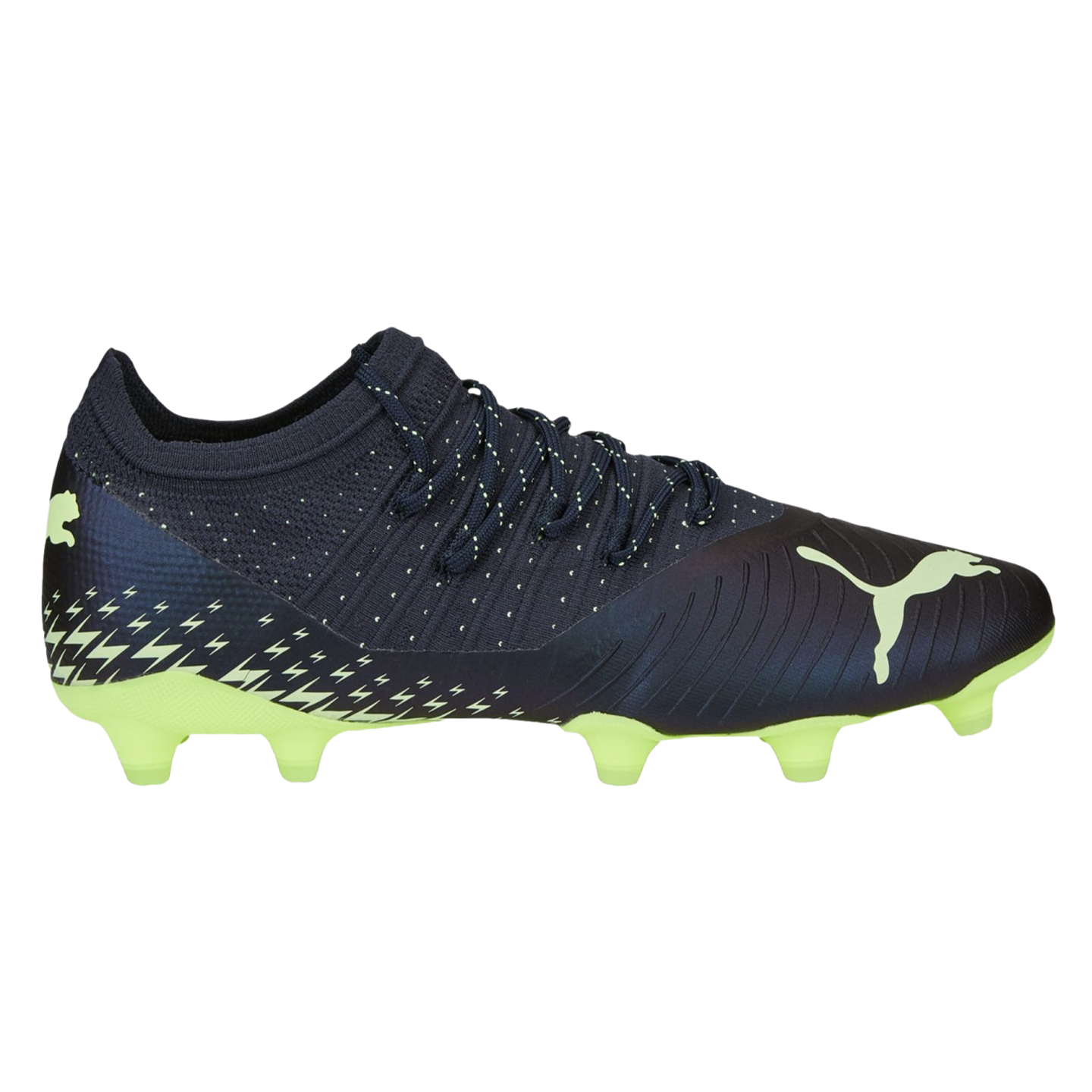 Puma Future 2.4 Firm Ground Cleats