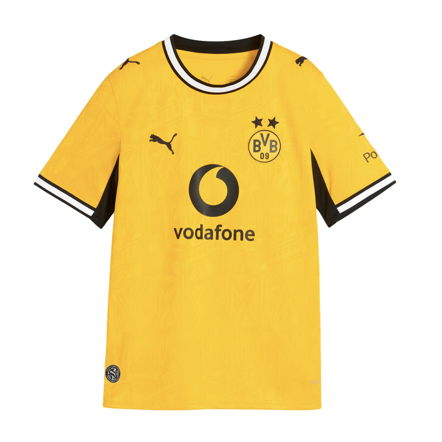 Borussia Dortmund