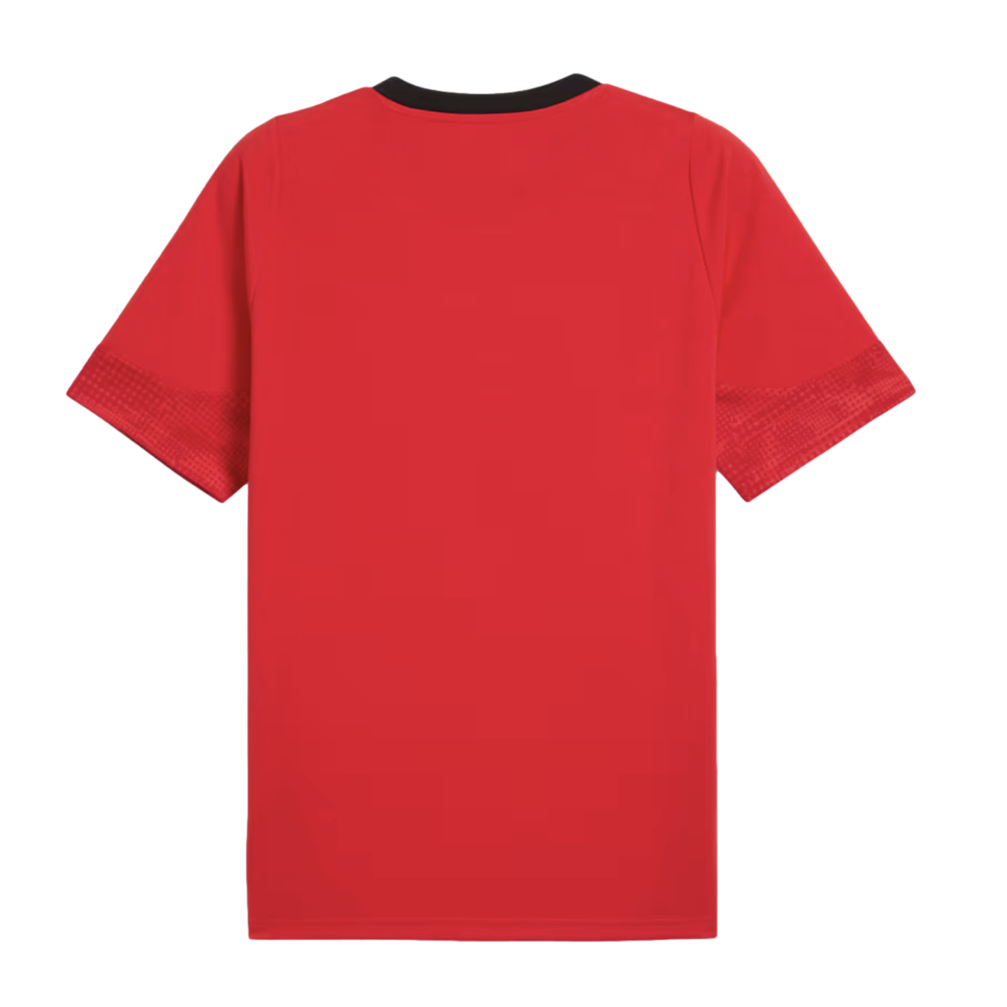 Puma AC Milan Training Jersey 782356-01