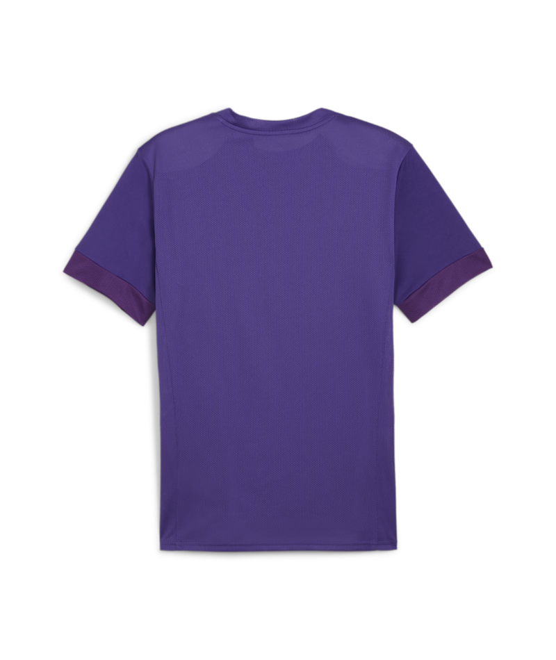 Puma Youth Teamgoal Matchday Jersey - Purple 705748-10