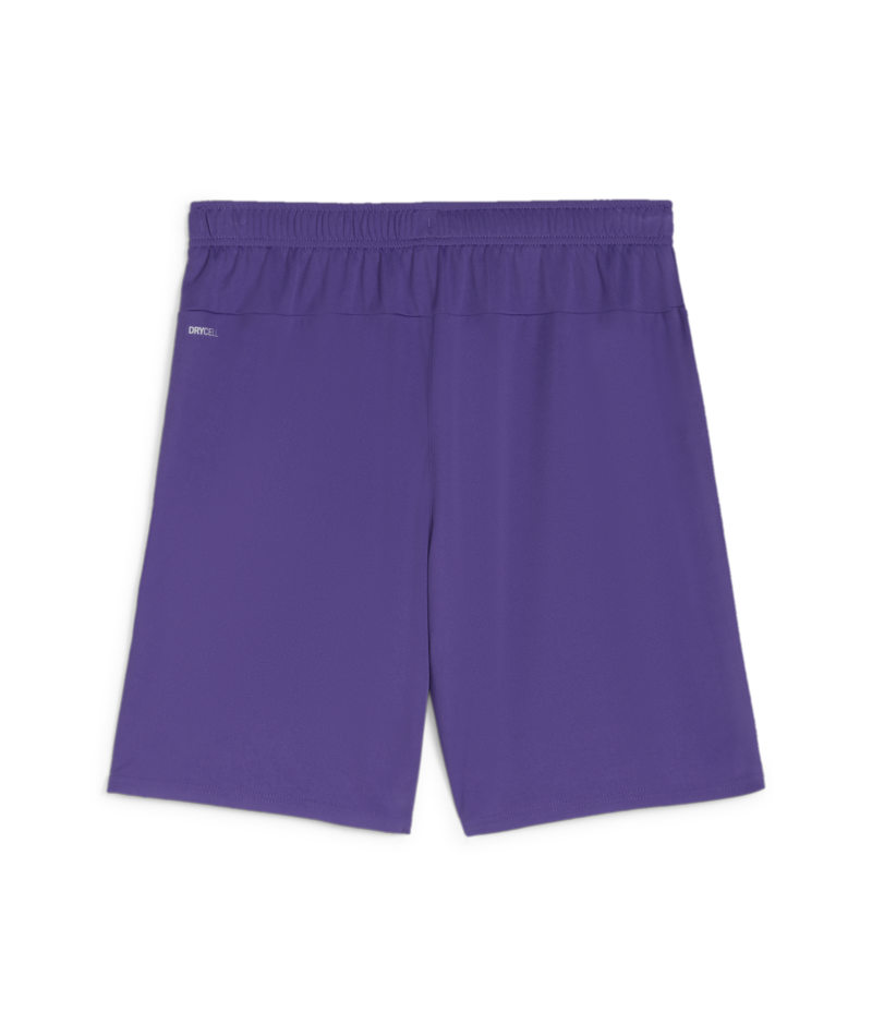 Puma Youth Team Goal Shorts - Purple 705753-10