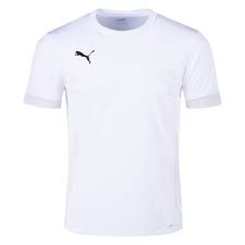 Puma Youth Team Goal Match Day Jersey - White 705748-04