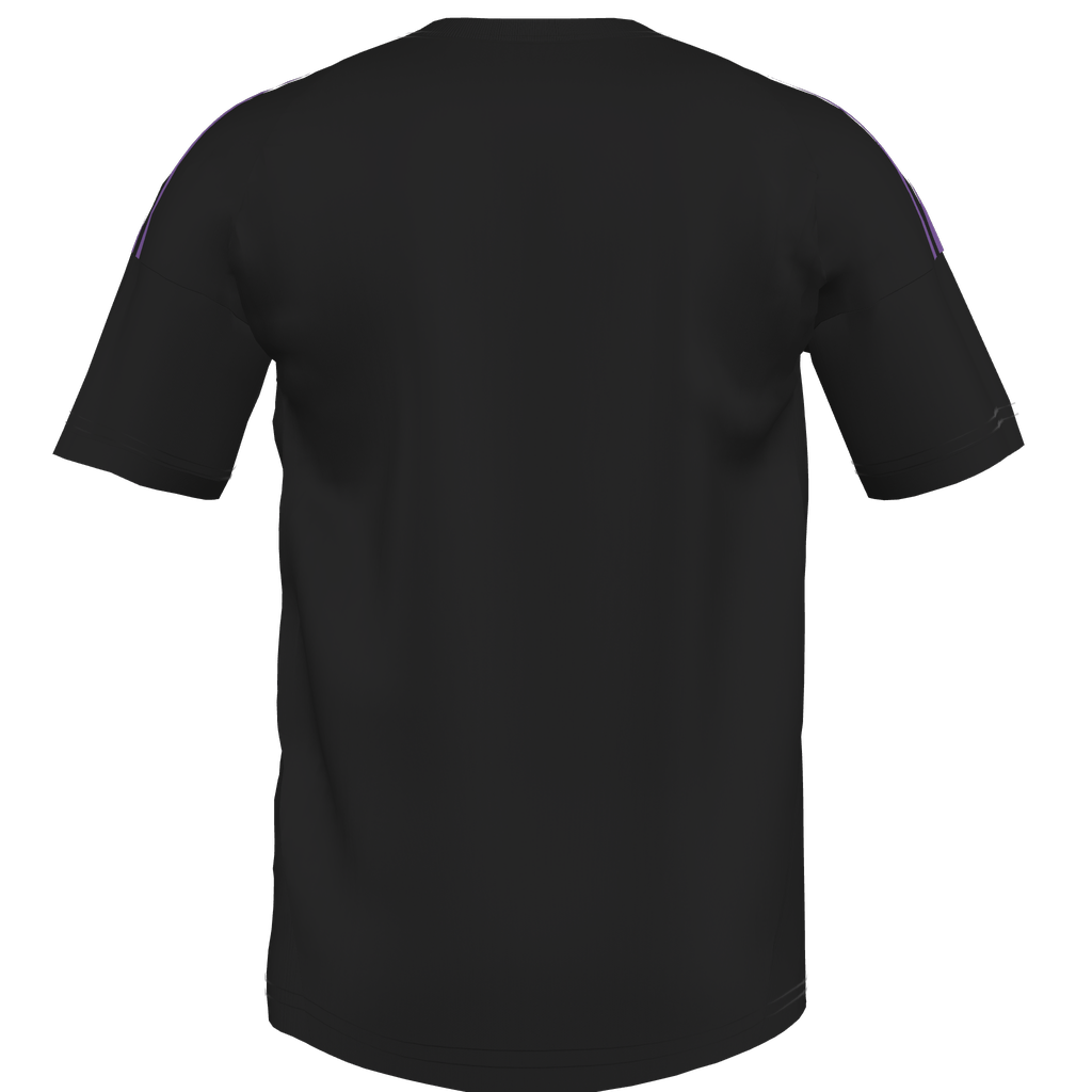Back view of a black short-sleeved t-shirt featuring two thin purple stripes along the shoulders.