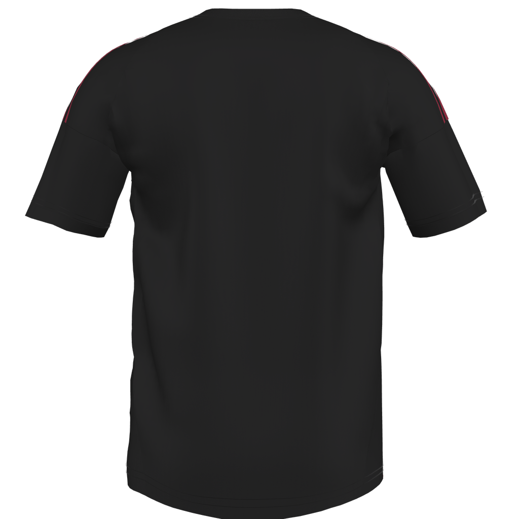 Tiro 24 Custom Jersey Red Star - Black