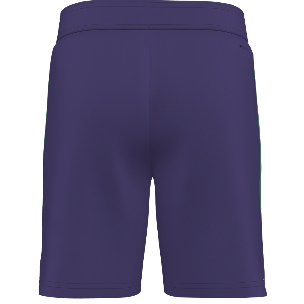 adidas Youth Custom Tiro 25 Competition Match Shorts Celtic - Purple