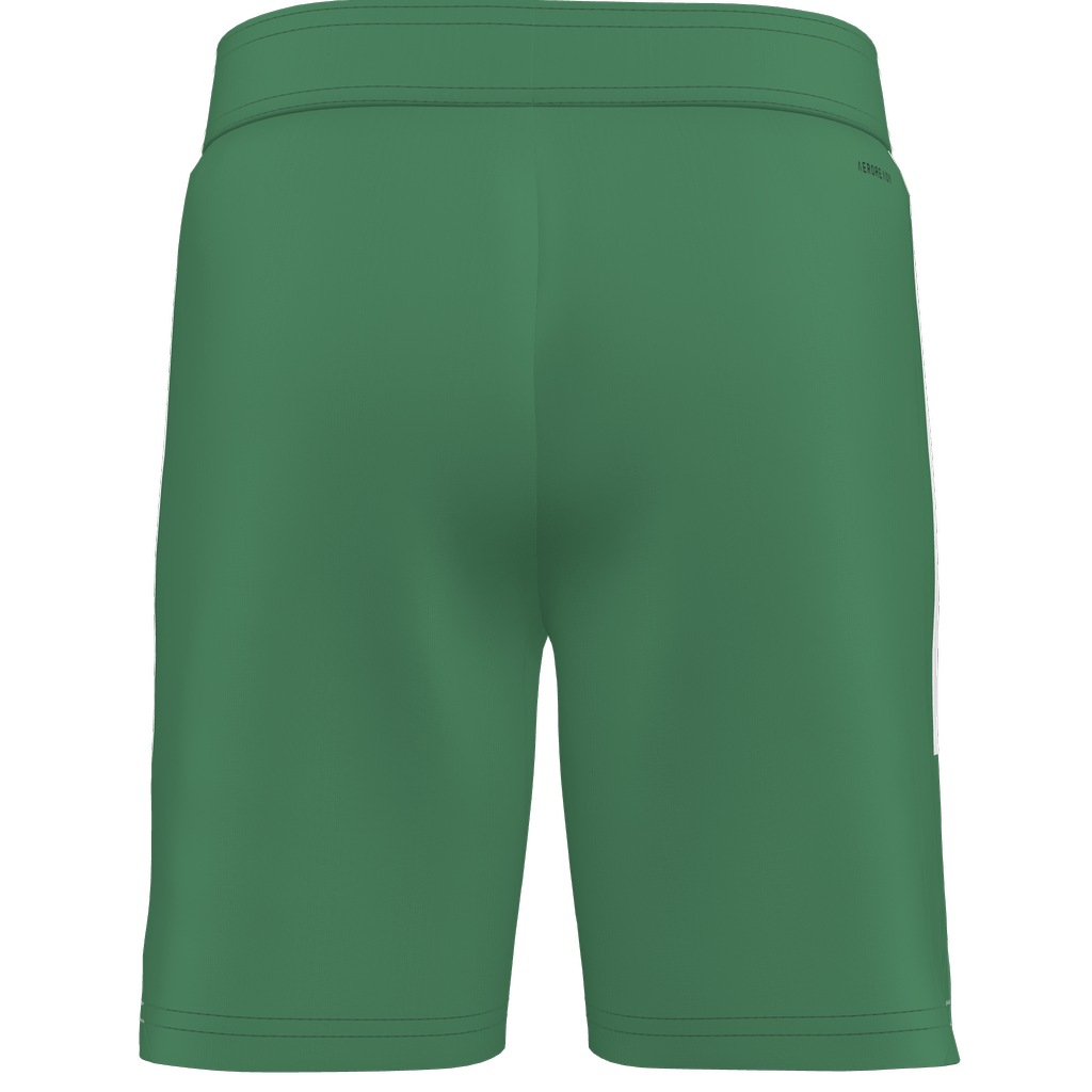 adidas Custom Tiro 25 Competition Match Shorts Celtic - Green