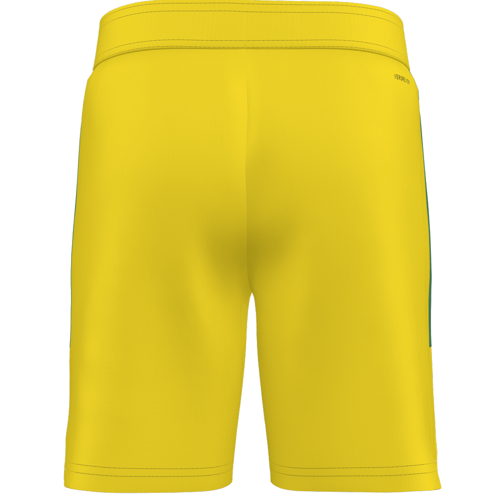 adidas Custom Tiro 25 Competition Match Shorts Celtic - Yellow