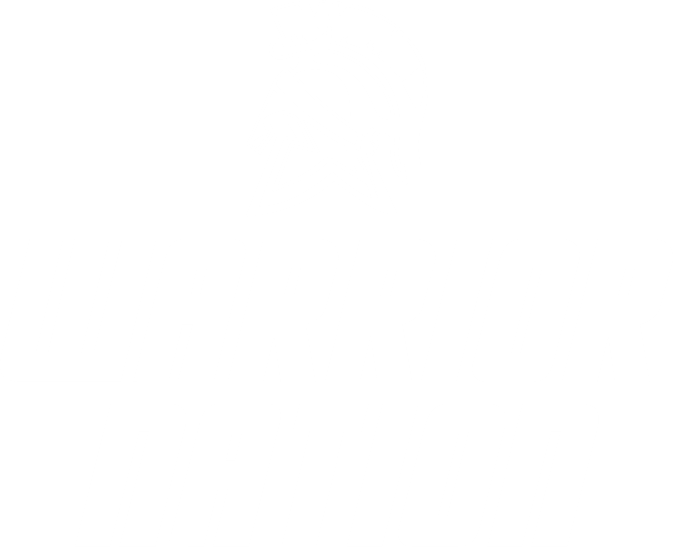 Logo with a white stylized Spartan helmet above the words "WARRIOR NATION" in bold, italicized block lettering, set against a black background.