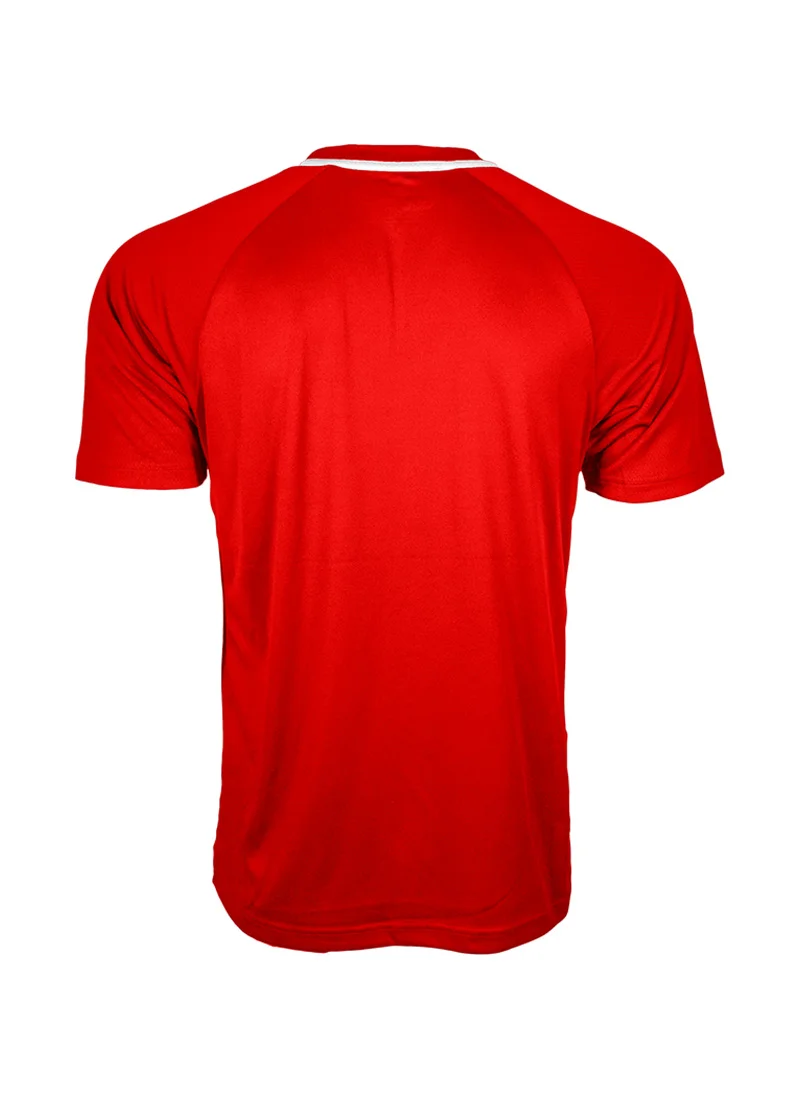 Back view of a red short-sleeved t-shirt with raglan sleeves and a white trim collar, isolated on a white background.