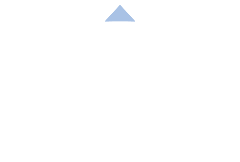 NSSA Back Text Logo - White