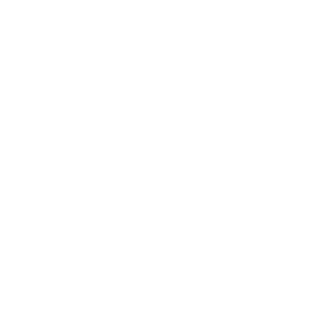 TFE GK Academy OTH Logo White