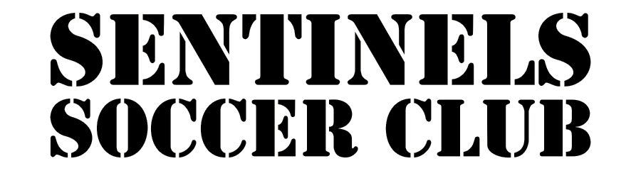 Sentintels Training Splash Text - Black