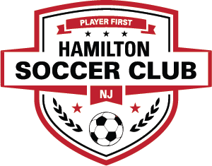 Hamilton SC Big Logo