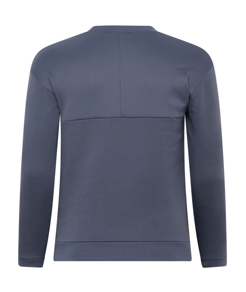Back view of a slate-grey crewneck sweatshirt with decorative back seams and ribbed trim, shown against a green background.