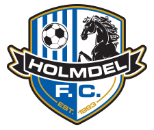 Holmdel Big Logo