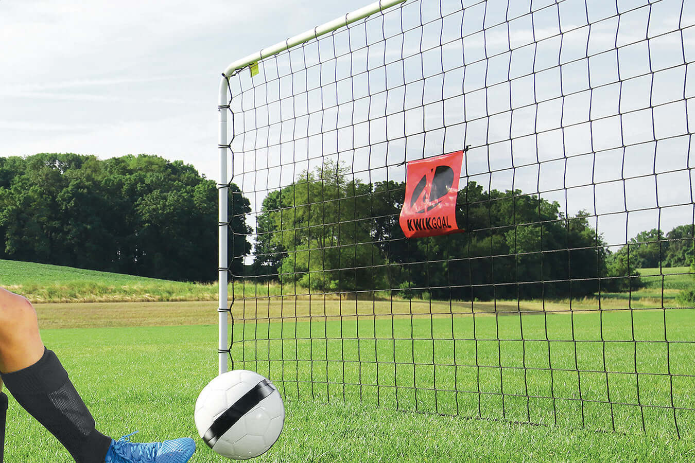 Goaler Web Solution Goals