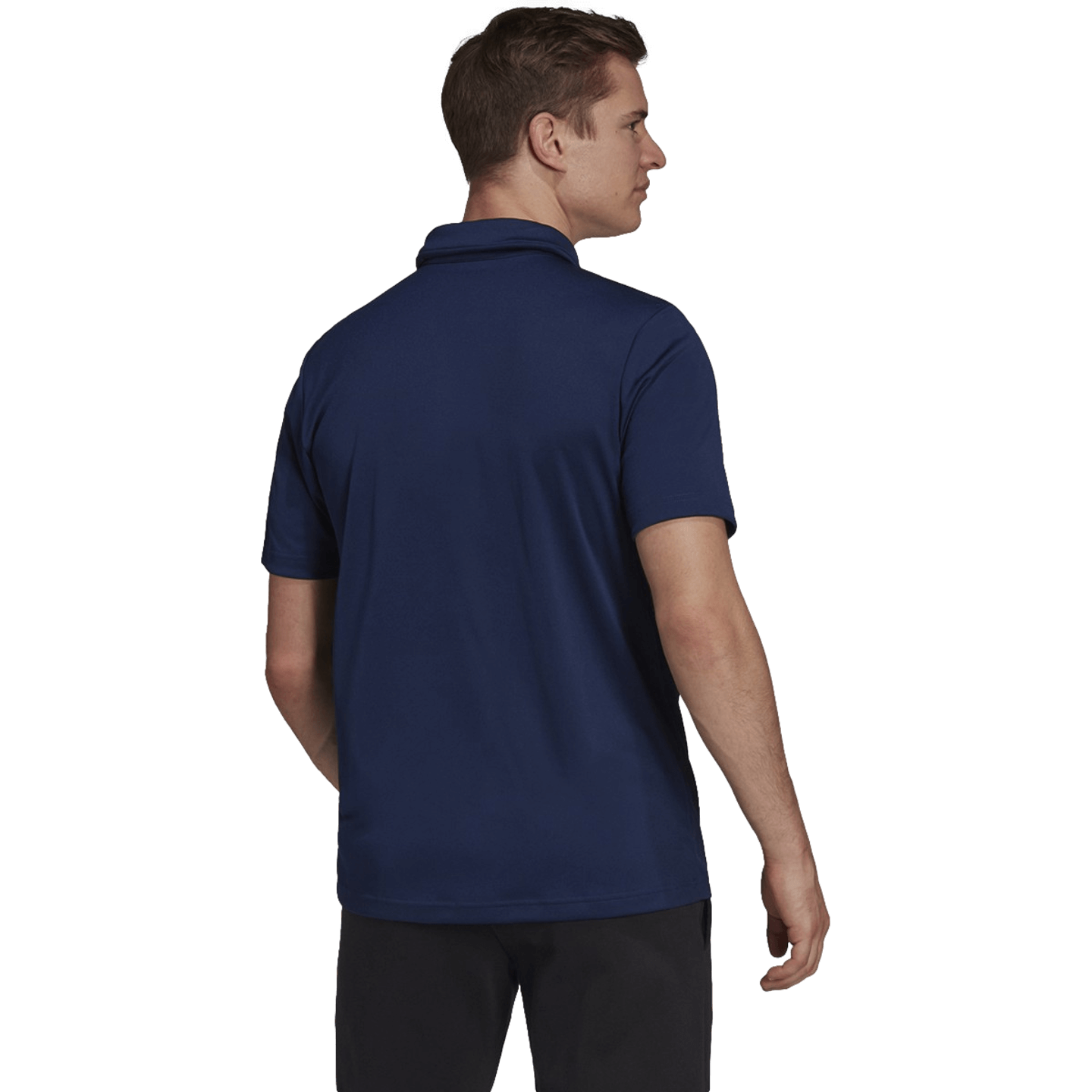 Adidas Entrada 22 Polo Tee